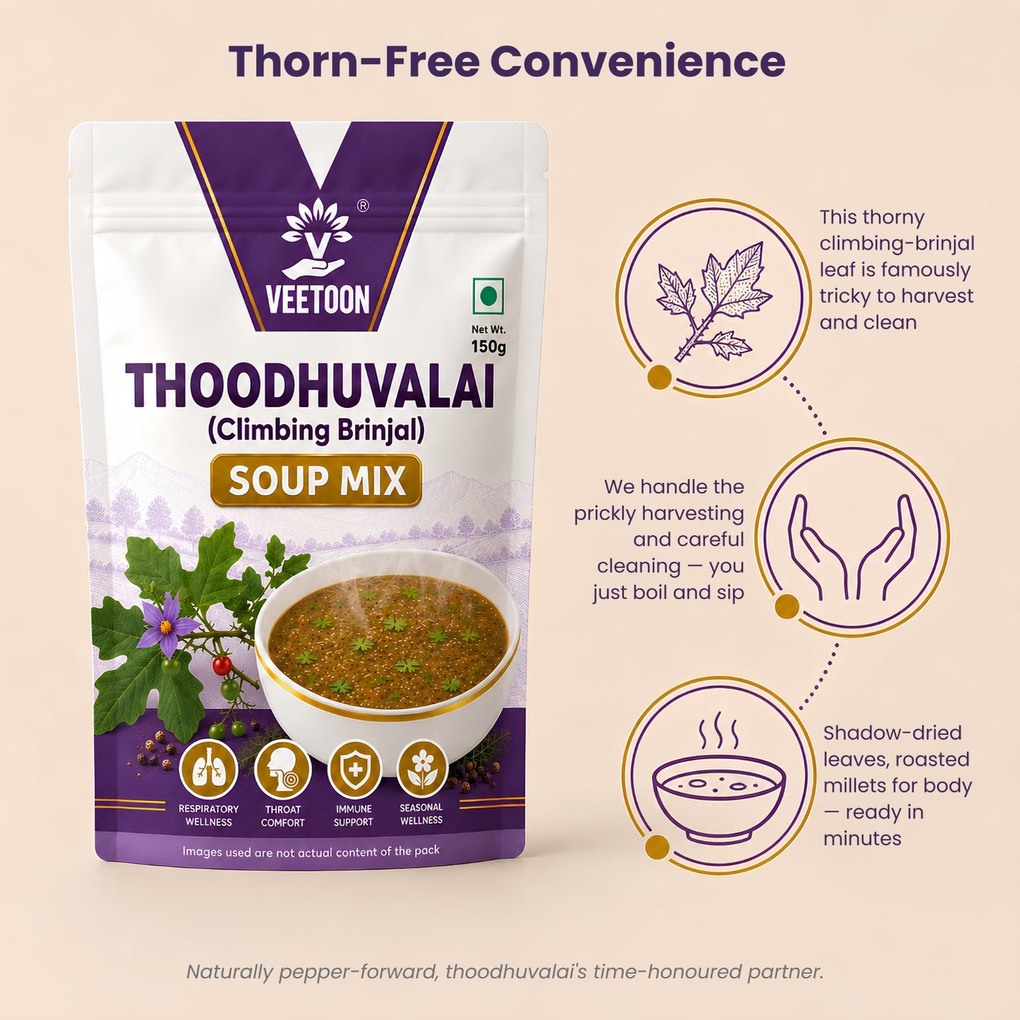 THOODHUVALAI SOUP